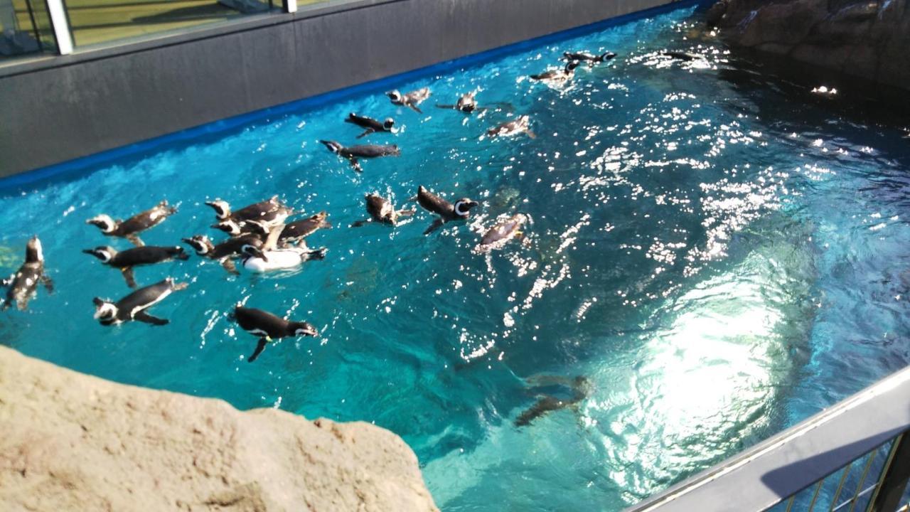 Oyo Joetsu City Hotel Kasugayama المظهر الخارجي الصورة